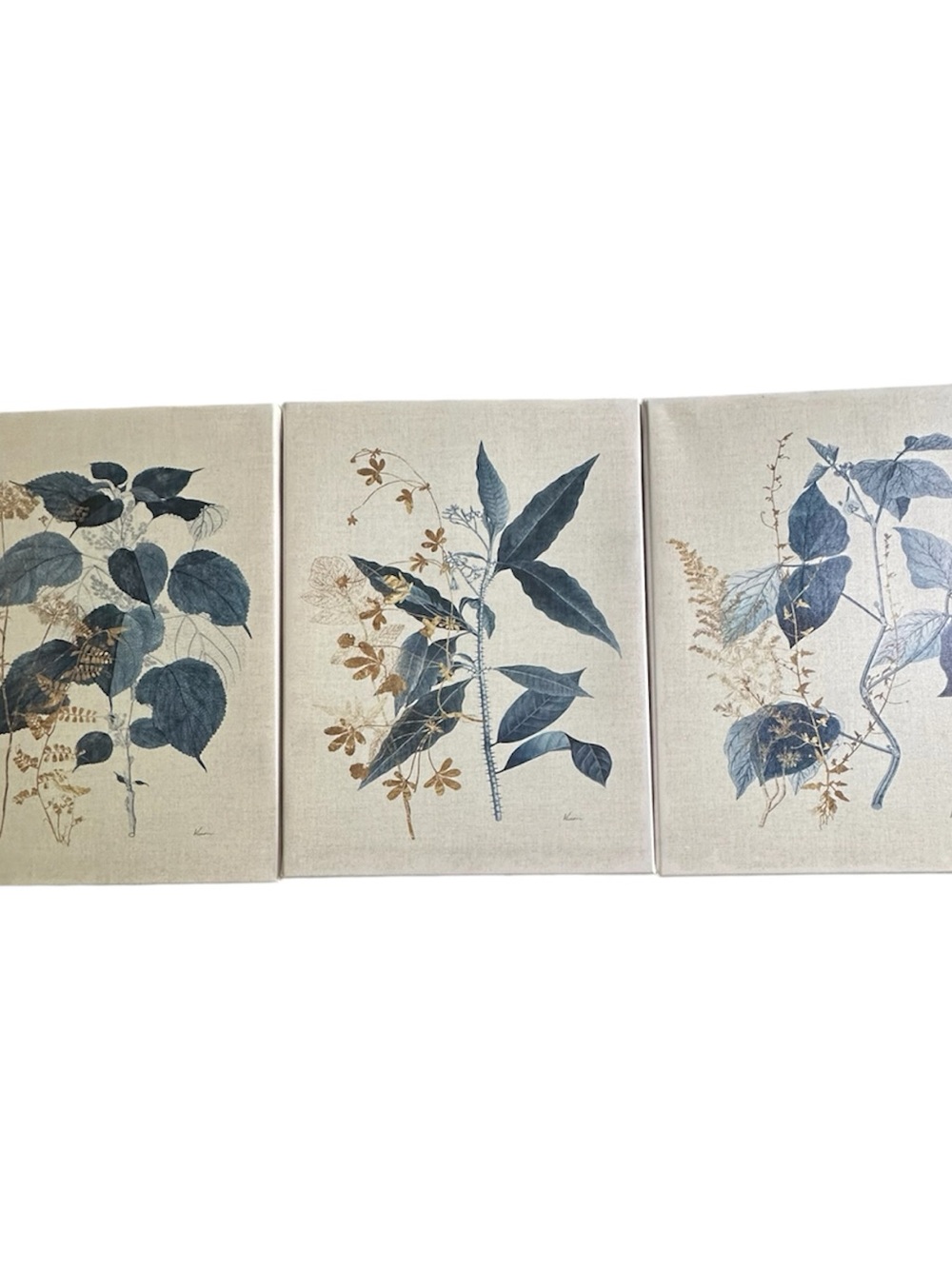 3 Piece Floral Canvas Prints Size 15.5”x 11.5” each
